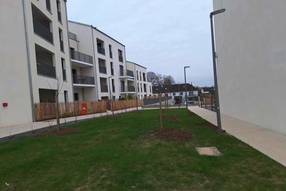 Logements Collectifs - Image 6