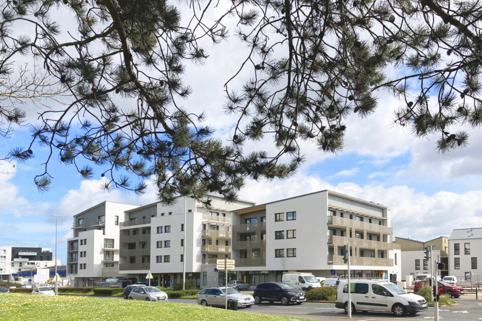 Logements Collectifs et Individuels - Image 11